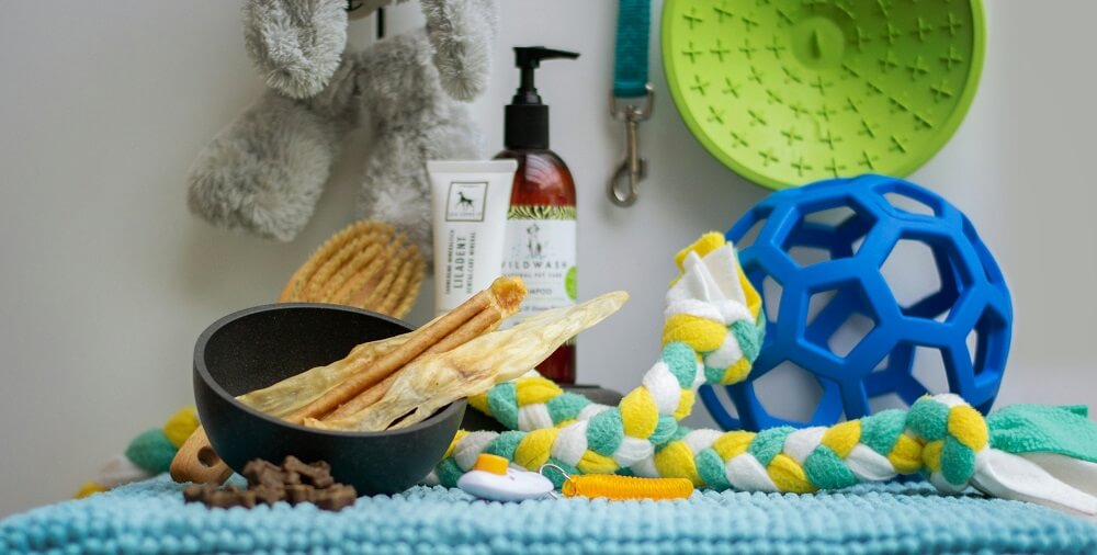 Eco-Home Essentials Worth Building a Room Around