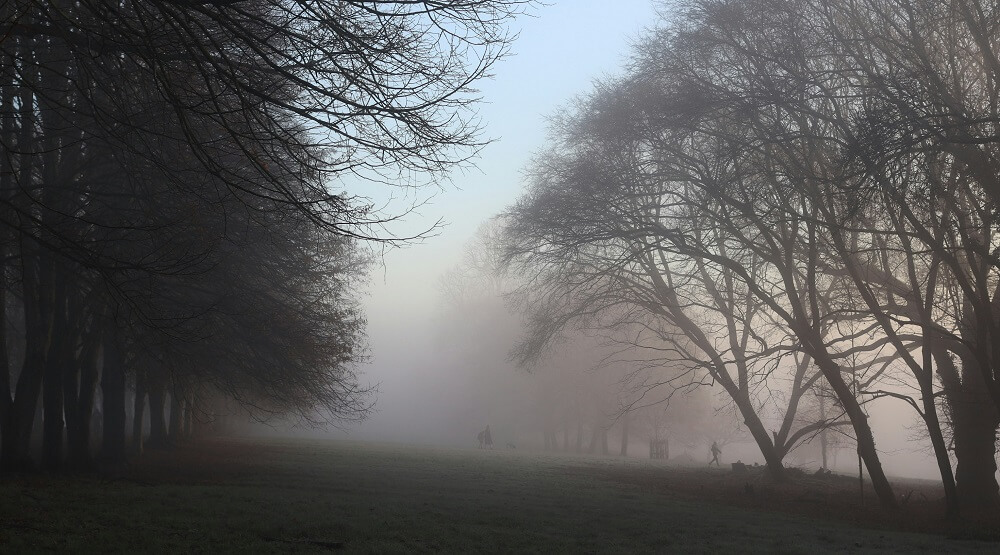 Quiet park path in soft morning light, a free daily walk to reduce stress and steady cortisol