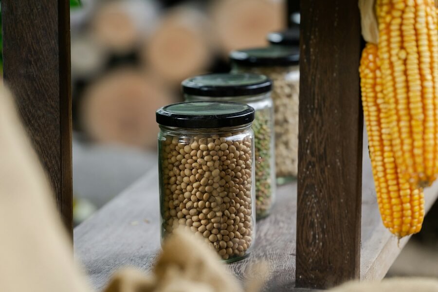 Jars of mixed beans and lentils on a shelf in daylight, plant diversity for Eat Well